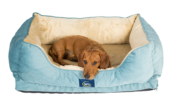 Serta Cuddler pet bed