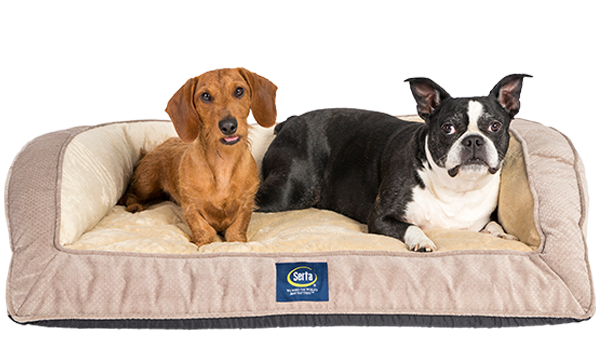 Serta Quilted Couch pet bed